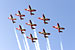 Canadian Snowbirds, #6