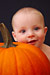 Pumpkin Baby