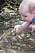 Baby Feeding Squirrel